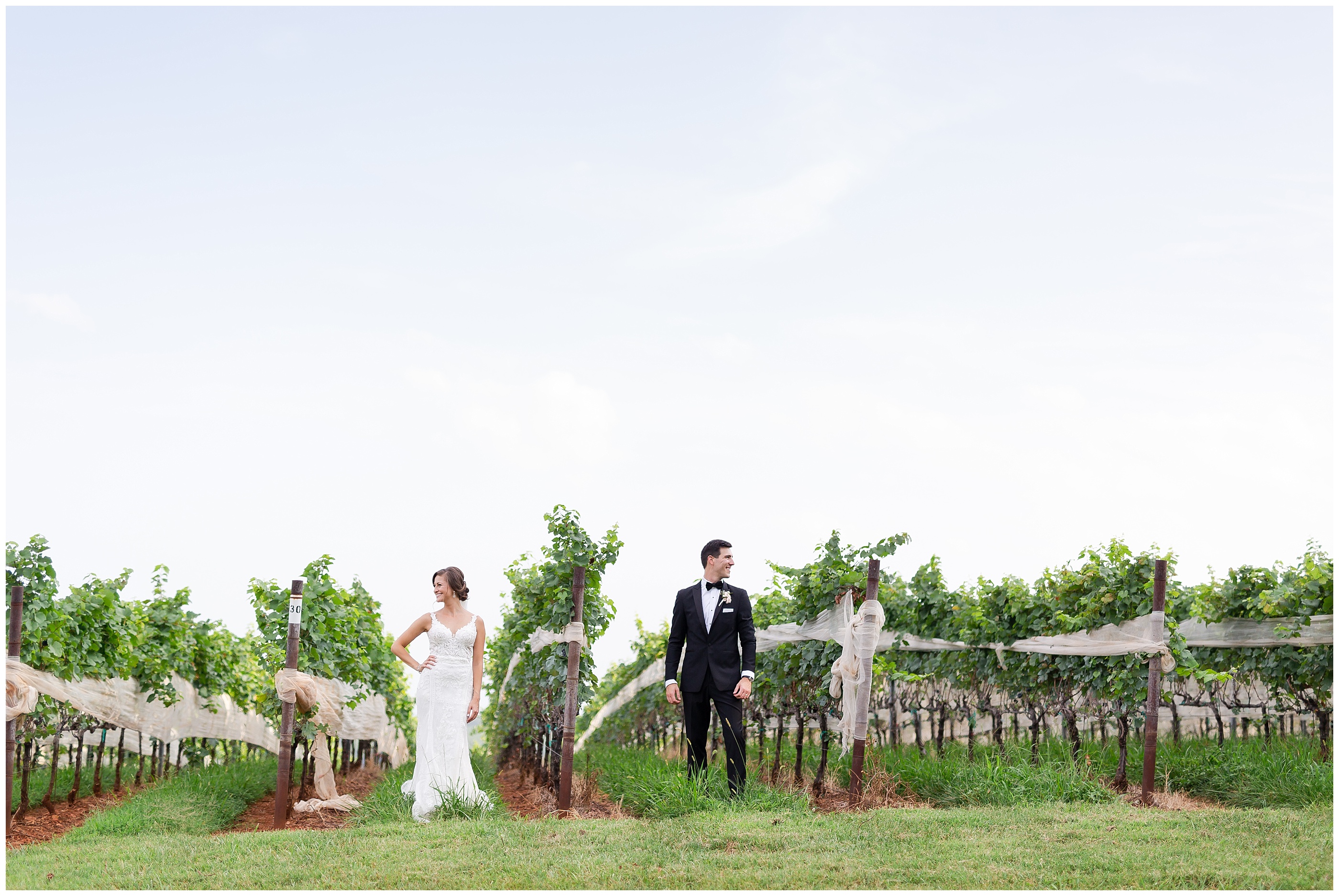 trump winery wedding in Charlottesville Virginia Luke and Ashley Photogrpahy