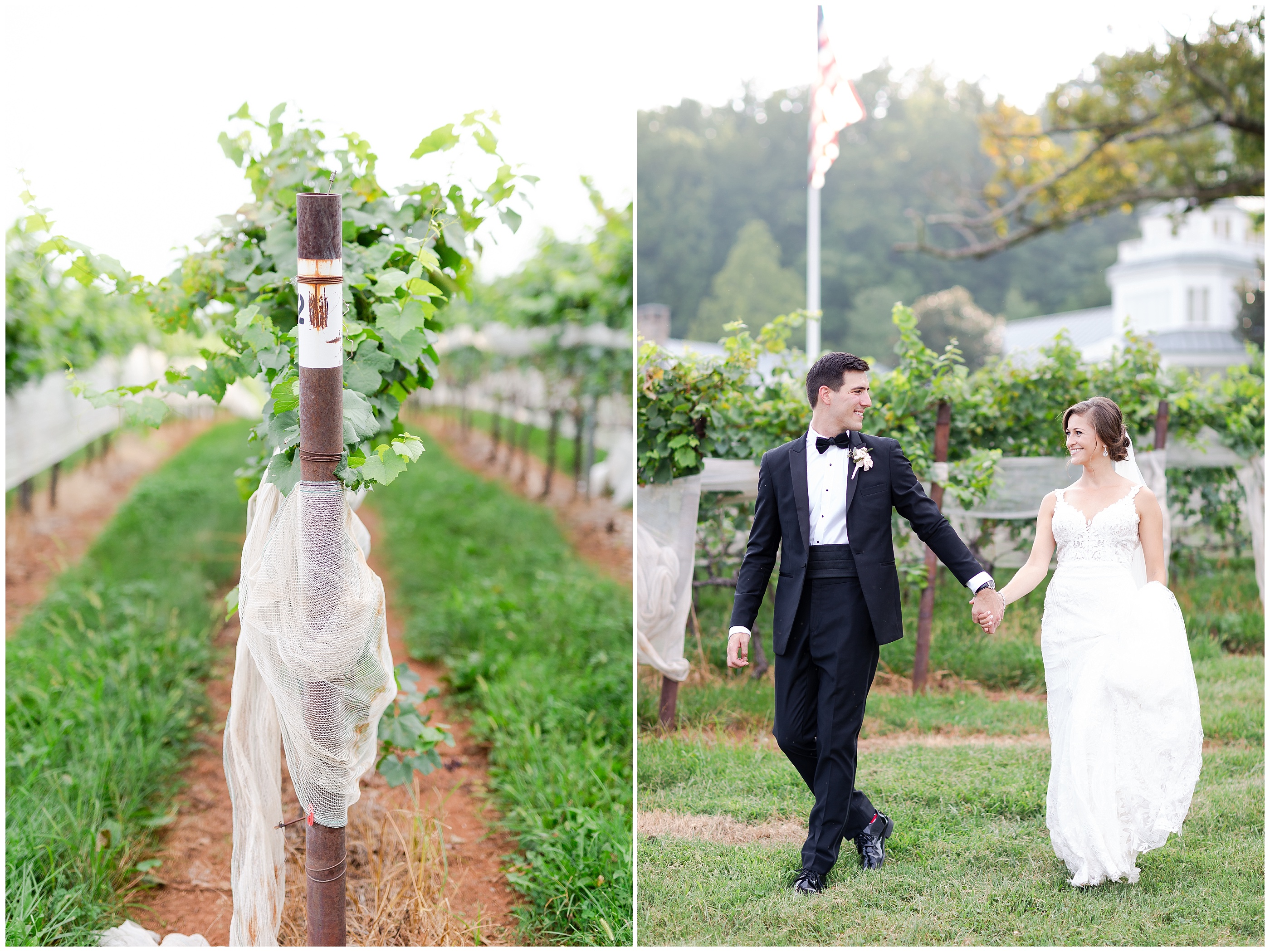 trump winery wedding in Charlottesville Virginia Luke and Ashley Photogrpahy