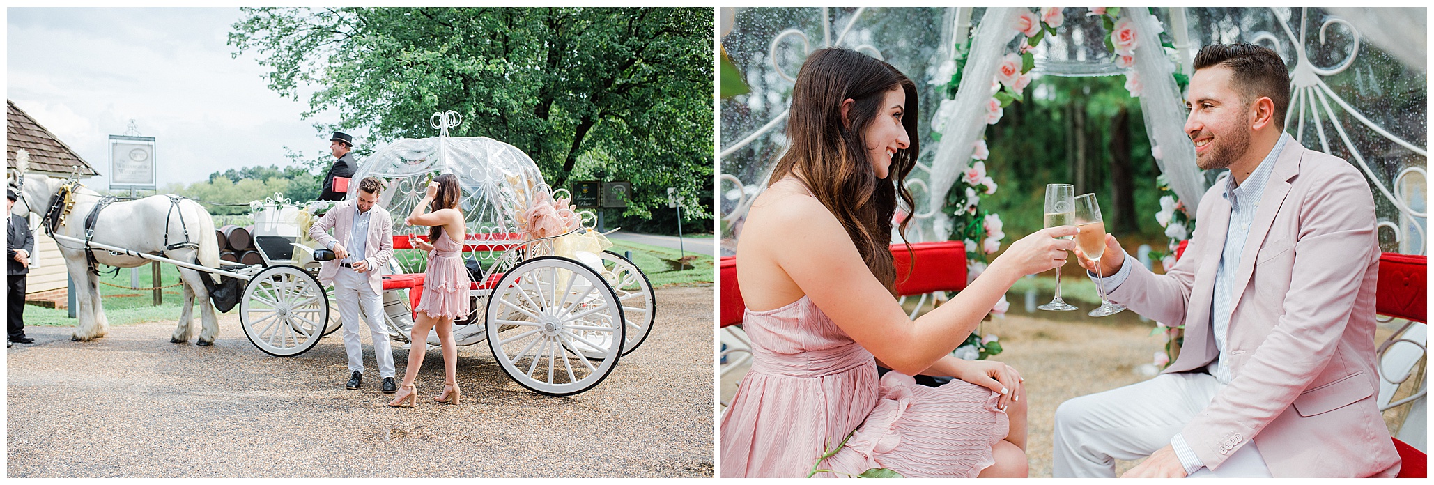 horse and carriage ride at the Williamsburg Winery Luke and Ashley Photography 