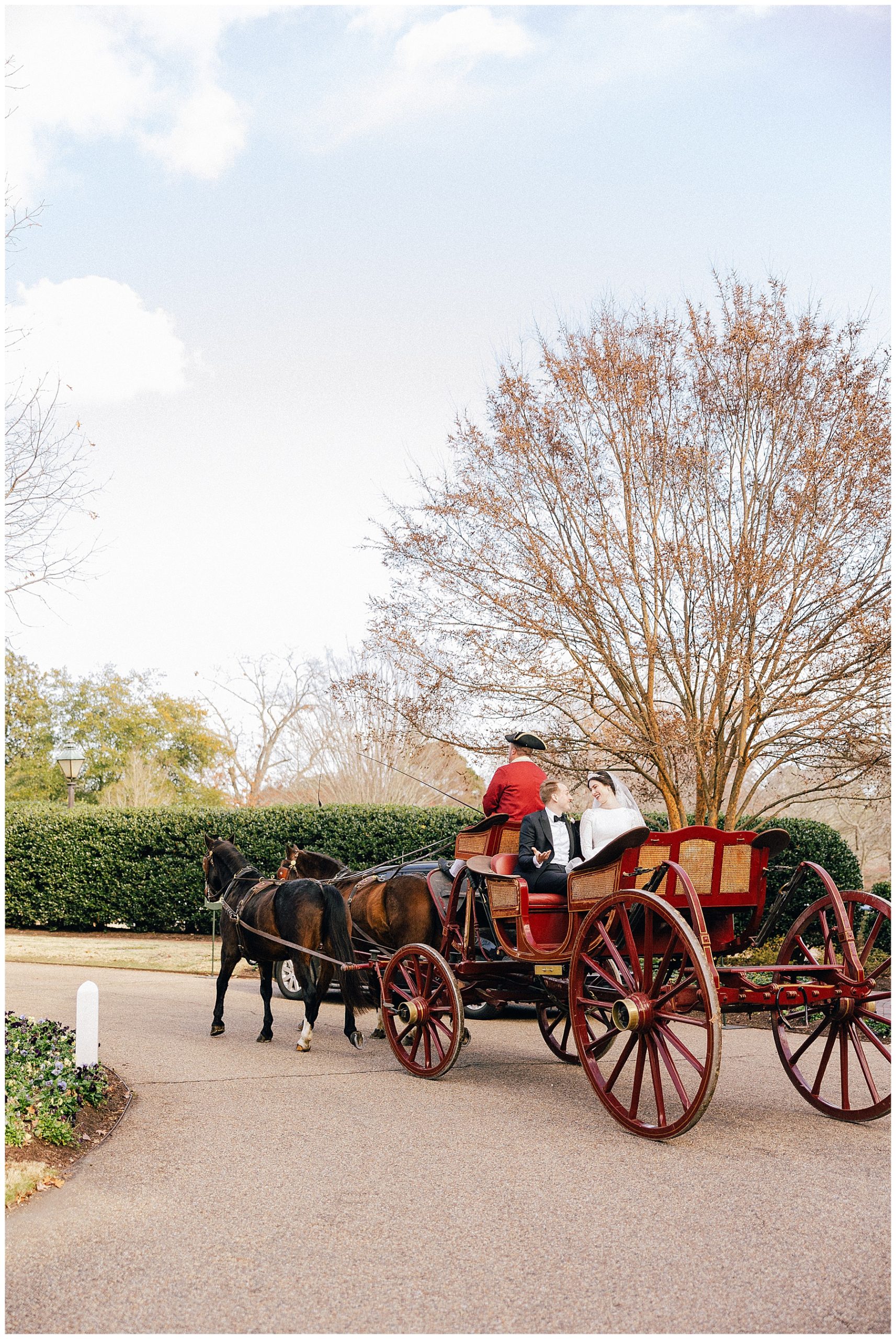 Horse Carriage ride for newlyweds at the Williamsburg Inn Luke and Ashley Photography 